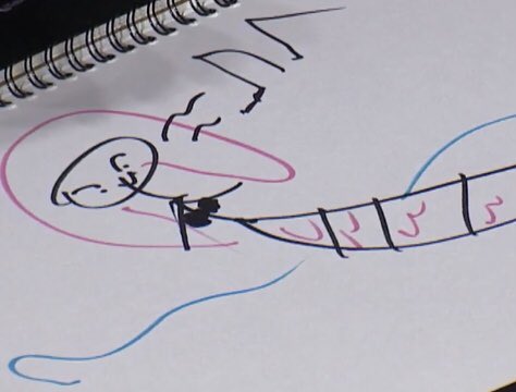 [잡담] 어제 재재님이랑 레드벨벳 멤버들, 팬들 다 기절초풍 시켰던 슬기의 인어공주 그리기 ㅋㅋㅋㅋㅋㅋㅋㅋㅋㅋㅋㅋ | 인스티즈