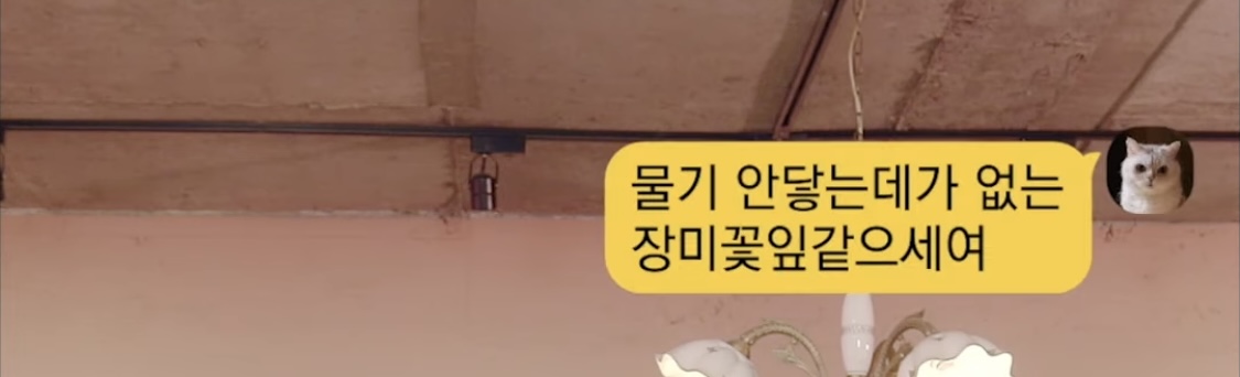 [잡담] 김이나가 말하는 김유정 실물 후기 ㅋㅋㅋㅋㅋㅋㅋ | 인스티즈