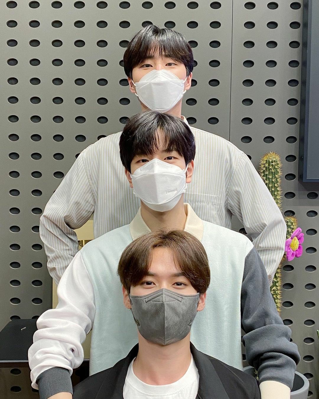 [잡담] 제왚 명물 당고 볼 사람 | 인스티즈