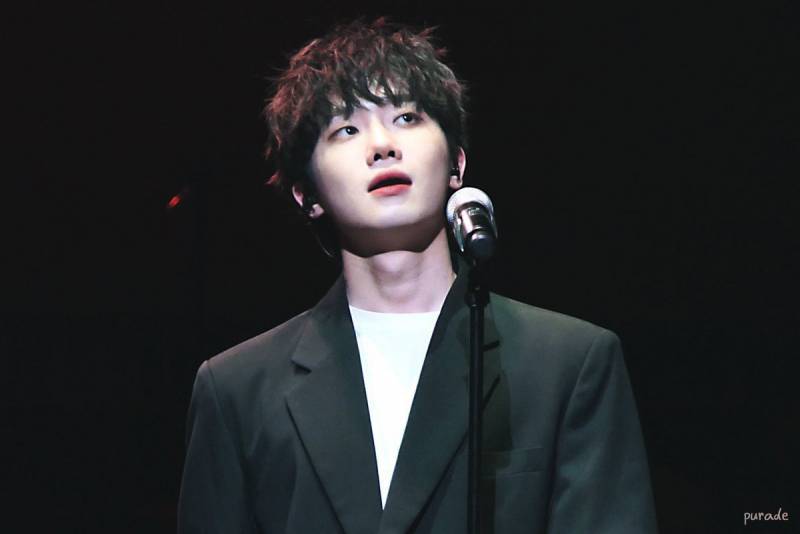 요즘 인기 많은 아기고양이상 하현상 | 인스티즈