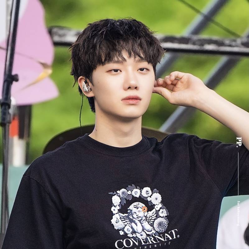 요즘 인기 많은 아기고양이상 하현상 | 인스티즈