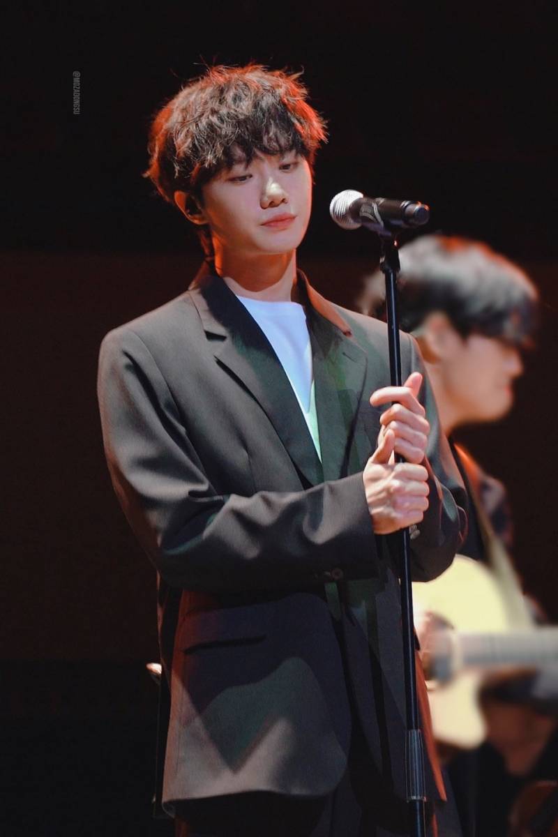 요즘 인기 많은 아기고양이상 하현상 | 인스티즈