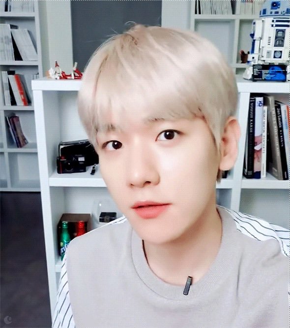 [잡담] 백현팬들아 백현 이 사진 어디서 나온거야??? | 인스티즈