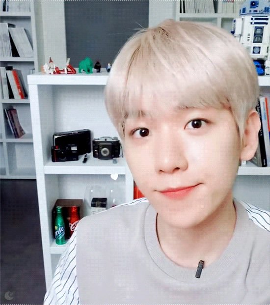 [잡담] 백현팬들아 백현 이 사진 어디서 나온거야??? | 인스티즈