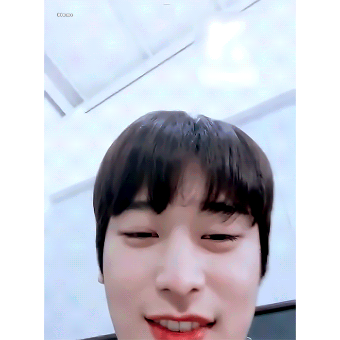 [잡담] 아기벨루가 | 인스티즈