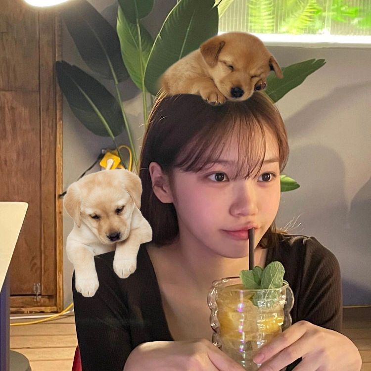 [딤채] 서브웨이 최애가 바뀌었다 | 인스티즈