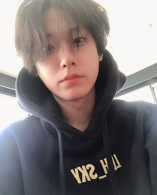 [잡담] 내 취향은 어떤상인지 가감없이 말해줘 ㅜ 소나무인가? | 인스티즈