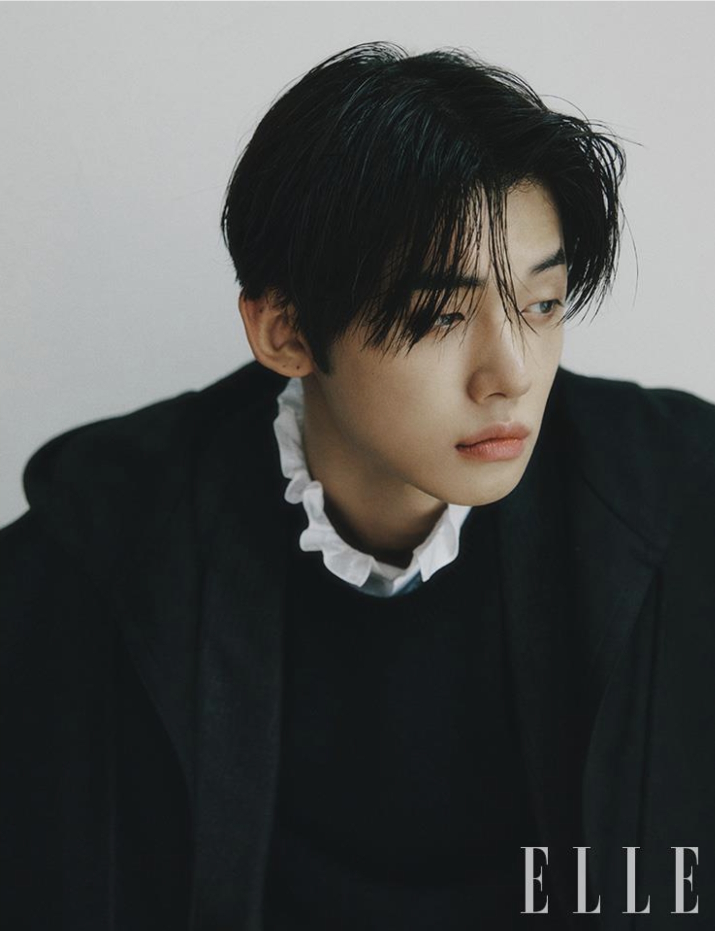 [잡담] 내 취향은 어떤상인지 가감없이 말해줘 ㅜ 소나무인가? | 인스티즈