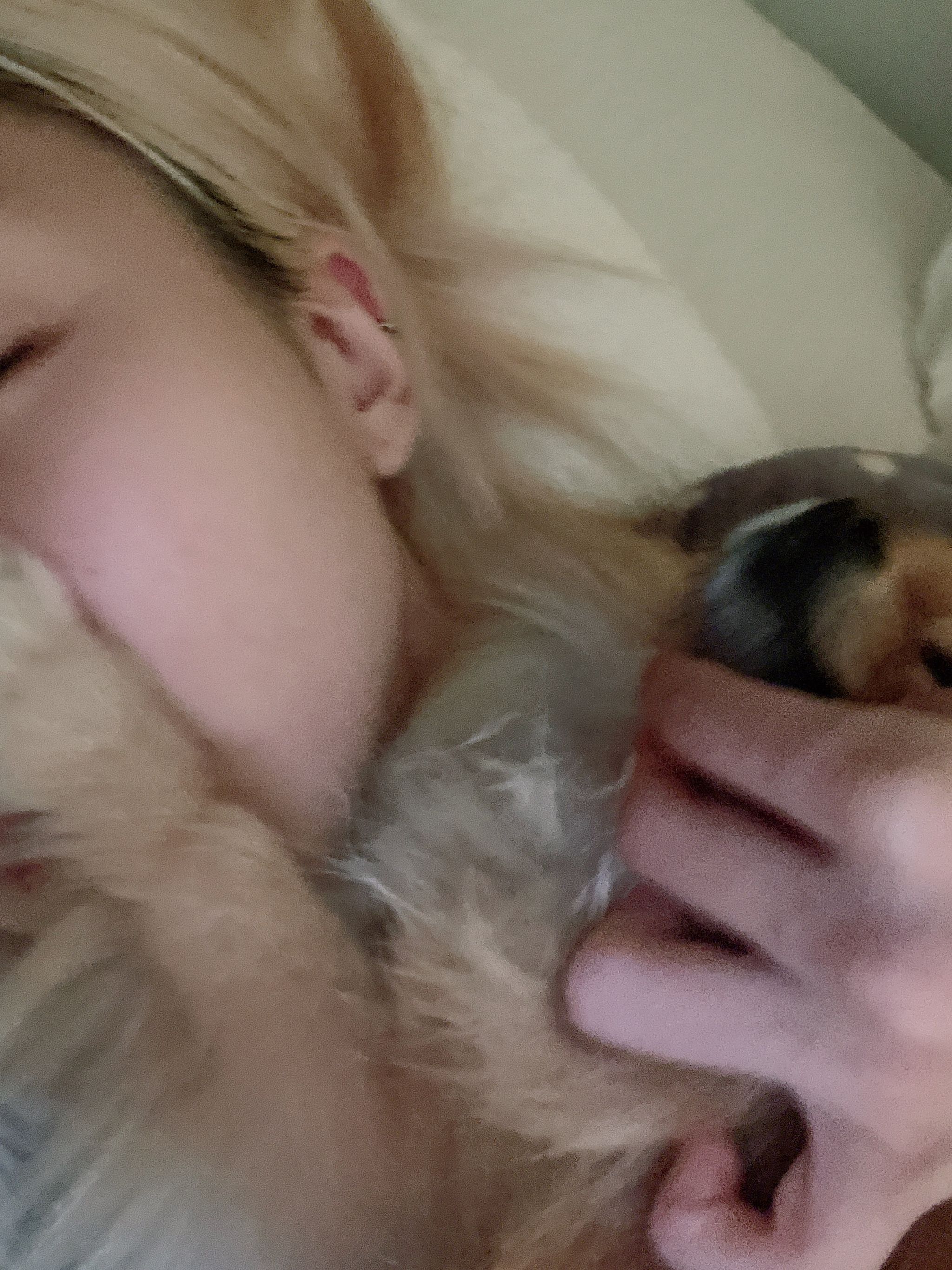 [잡담] 내본진 반려견 진짜 너무귀여워ㅠㅠㅠㅠㅠㅠㅠㅠㅠㅠㅠ | 인스티즈