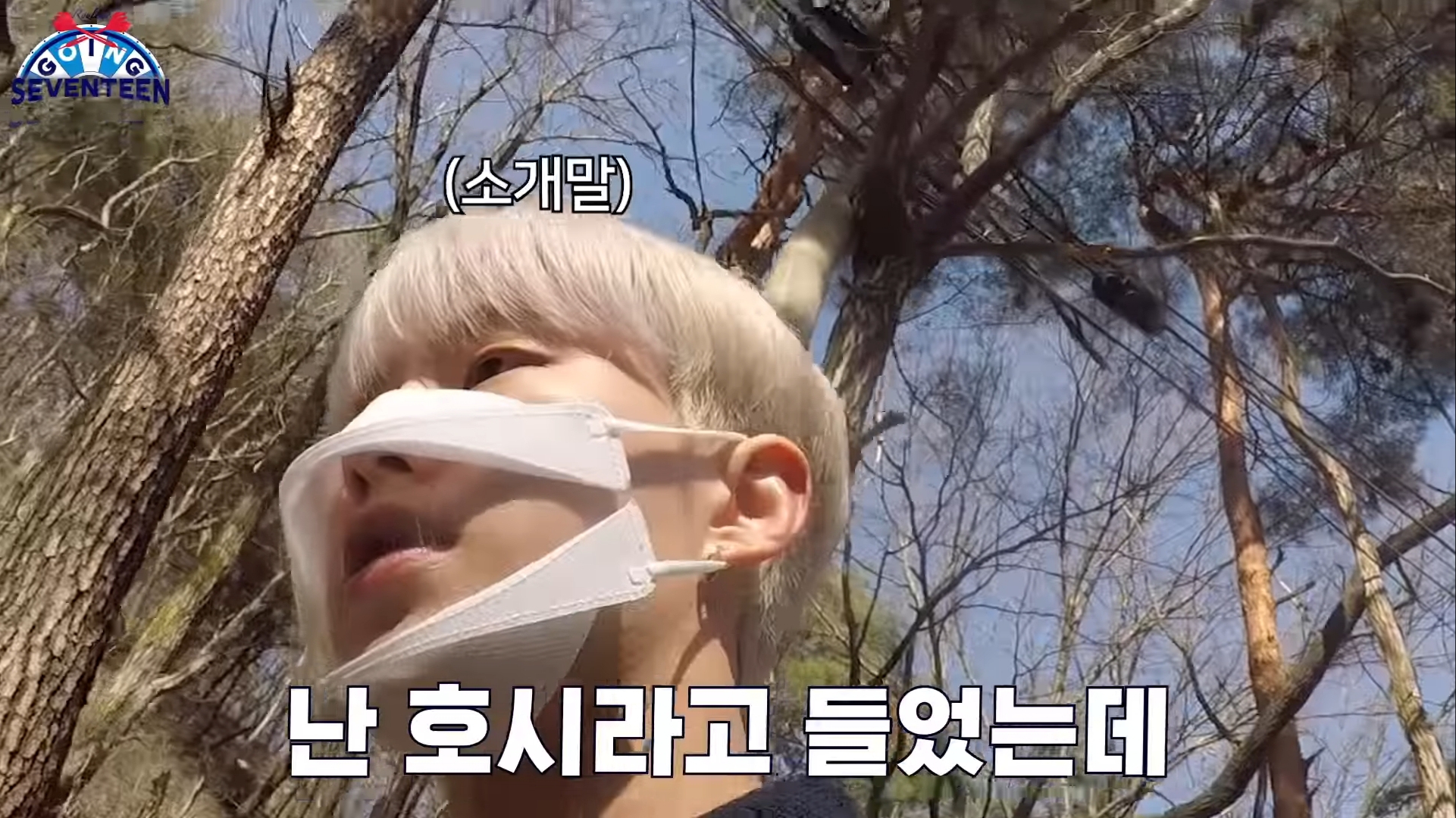 [잡담] 내가 좋아하는 세븐틴 | 인스티즈