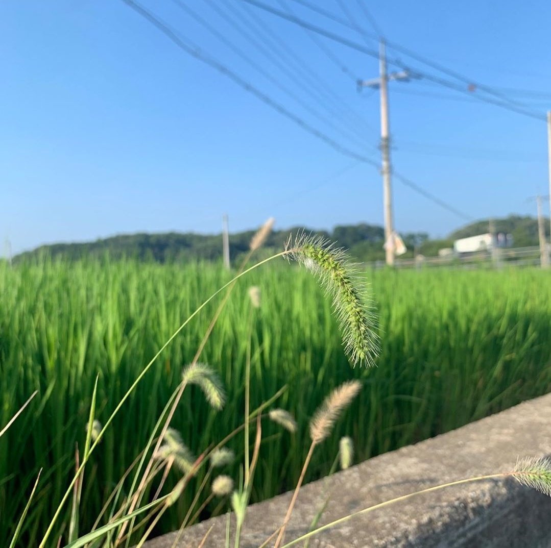 [잡담] 심심한데 들튀해야지 | 인스티즈