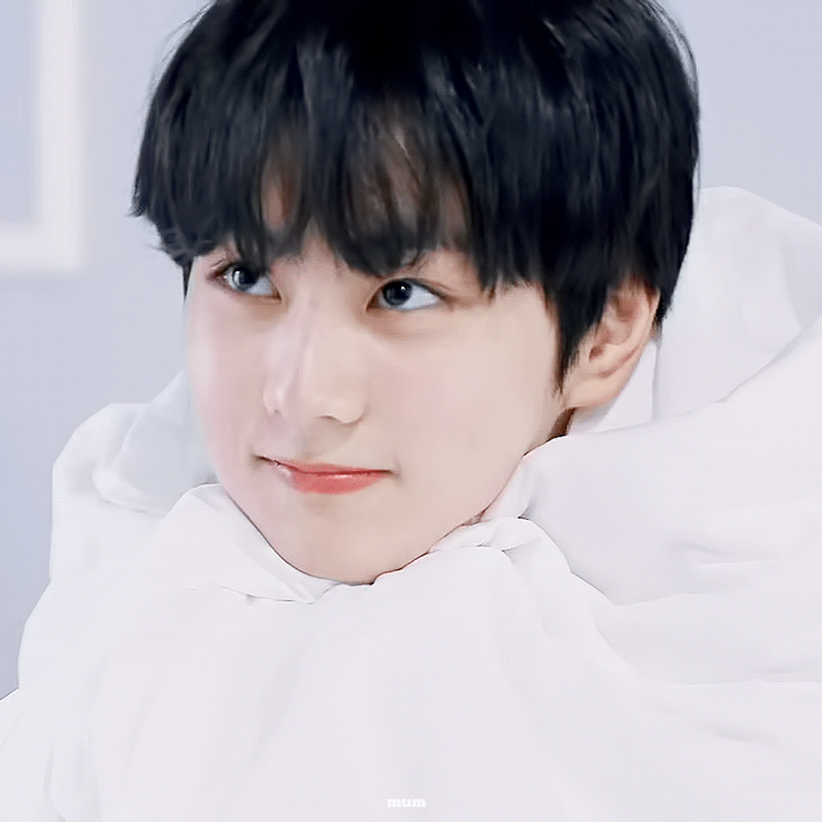 [잡담] 양정원 진짜 고양이 아니야?? | 인스티즈