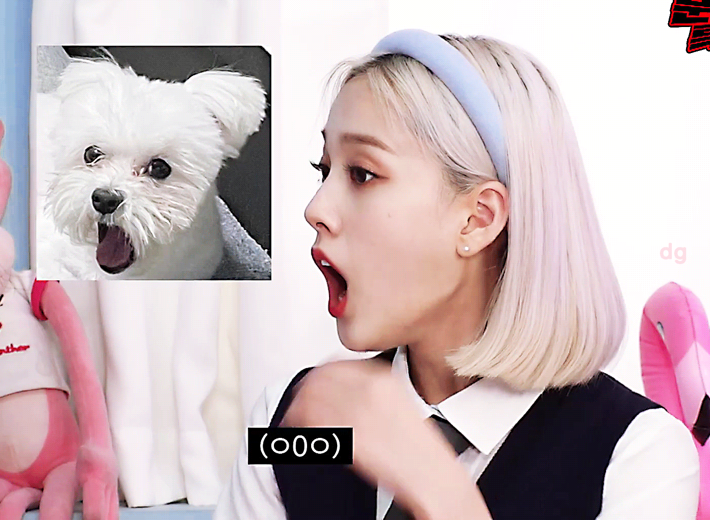 [잡담] 문명특급 진짜 최고다ㅠㅠㅠㅠㅠ | 인스티즈