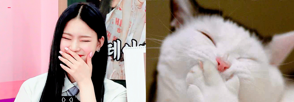 [잡담] 아이사 너무 귀여워ㅠㅠㅠㅠㅠㅠㅠㅠ | 인스티즈