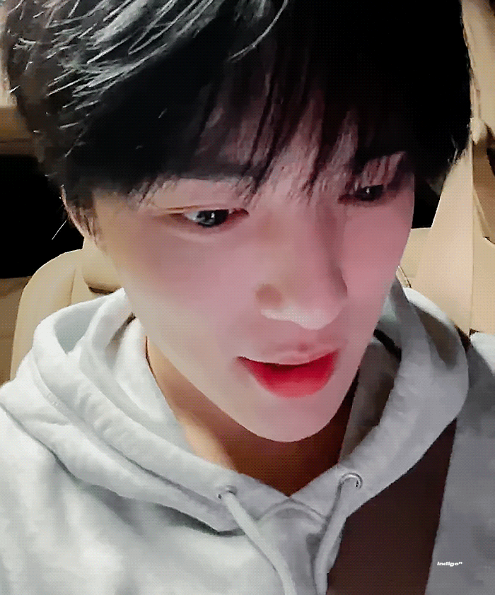 [잡담] 출근 전에도 라이브 해주고 원래 스케줄은 라이브고 퇴근하고도 라이브해준 울 짱강아지 | 인스티즈