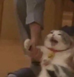 [잡담] 민윤기랑 개똑같음 | 인스티즈