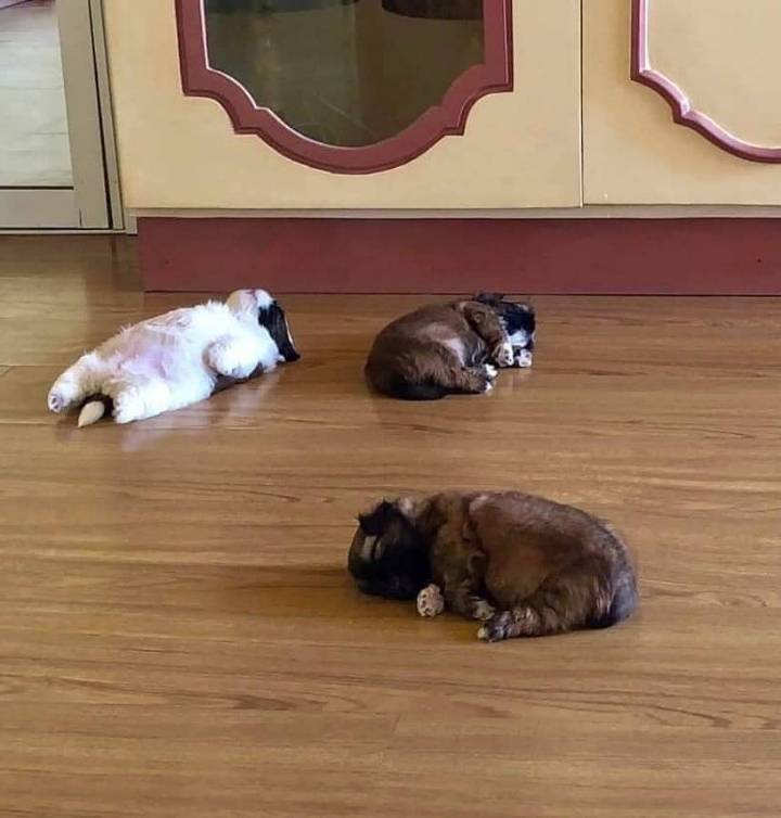 아나 진짜 게으르다 오늘 한강가서 자전거 탈 생각했는데 | 인스티즈