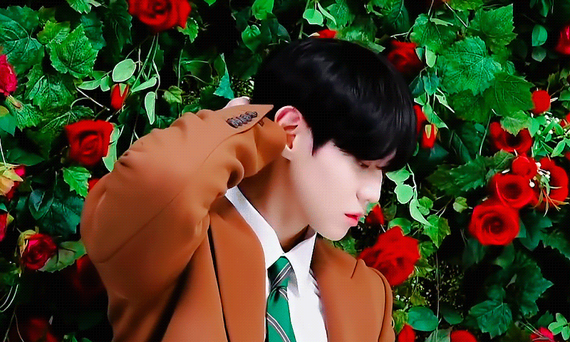 [잡담] 들튀 | 인스티즈