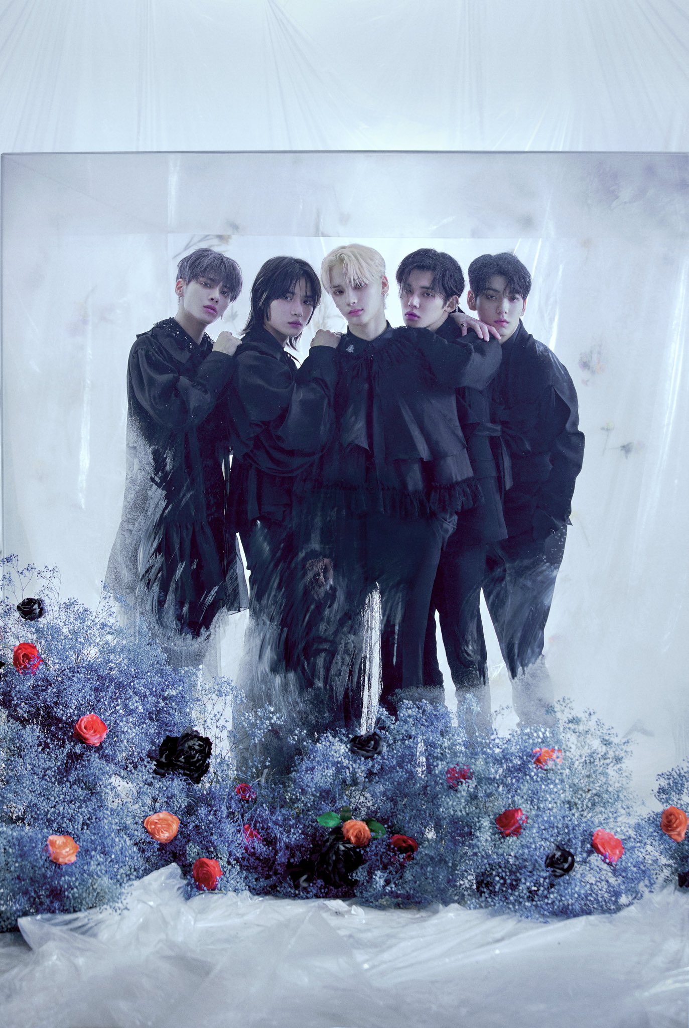 [잡담] 투바투 이건 진짜 로판 표지 아니냐며 | 인스티즈