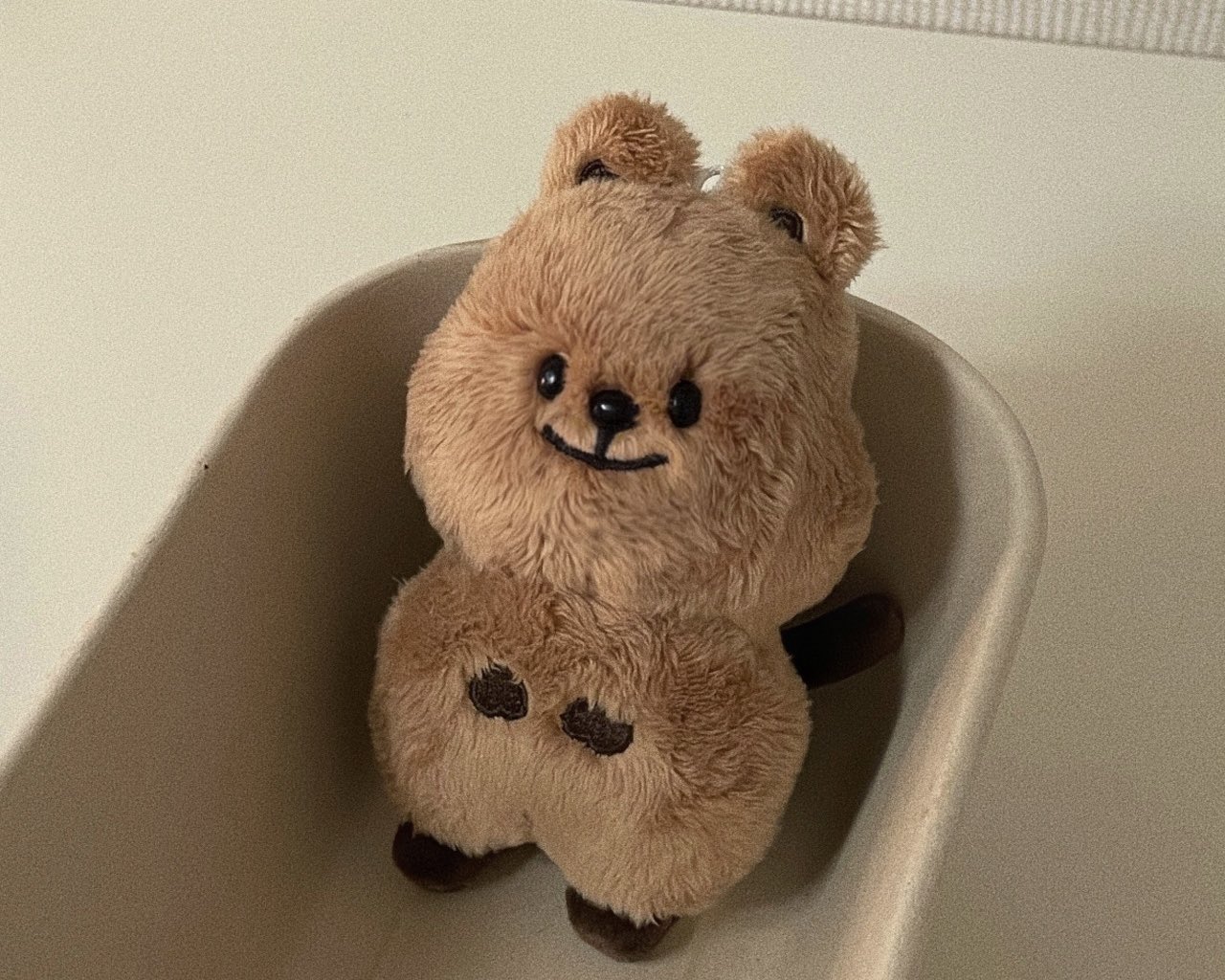 [잡담] 나 쩡카 양도 받았어ㅠㅠㅠ | 인스티즈