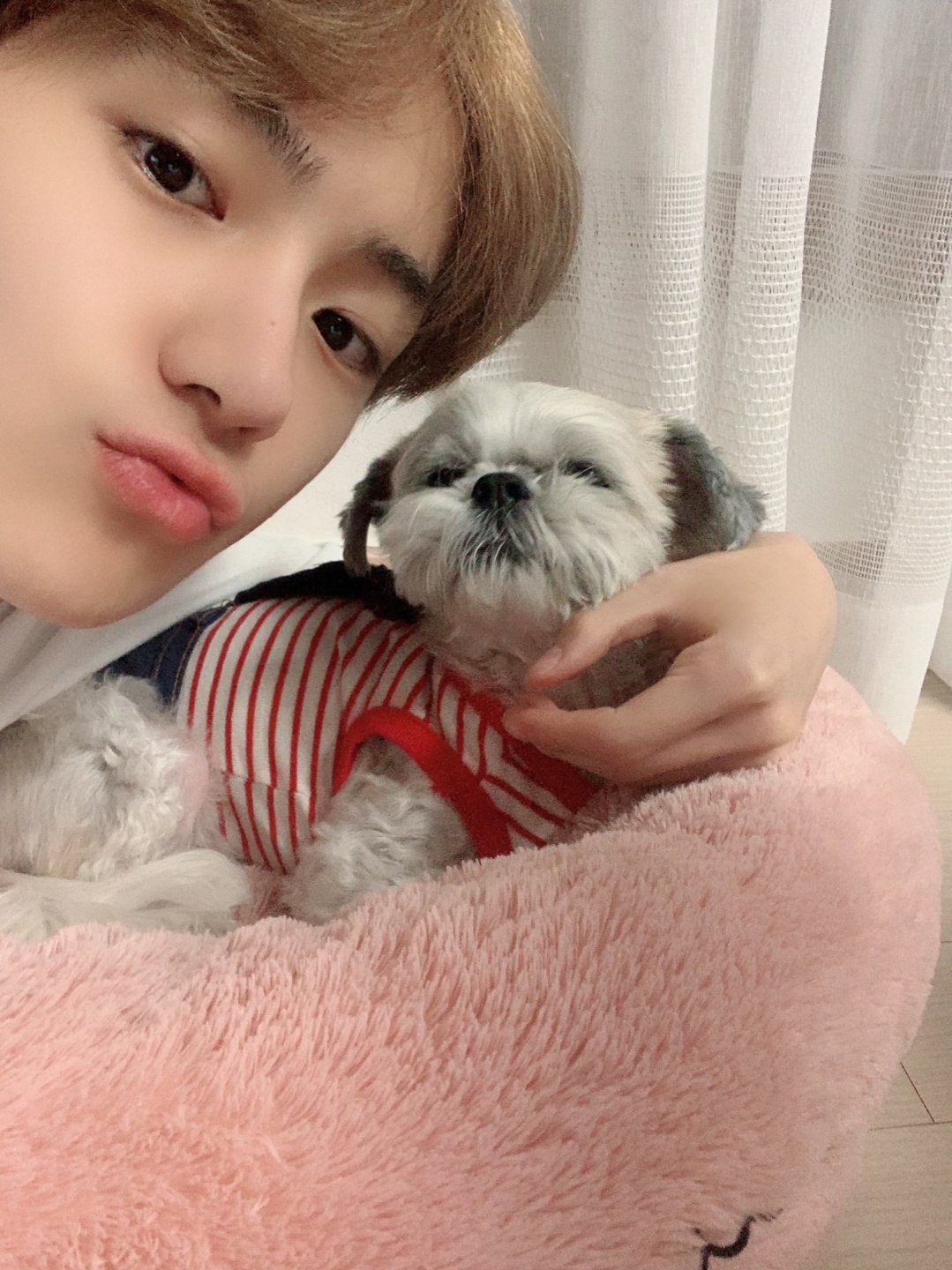 [잡담] 이재현 다롱이랑 찍은 사진 다 좋아🐶❤ | 인스티즈