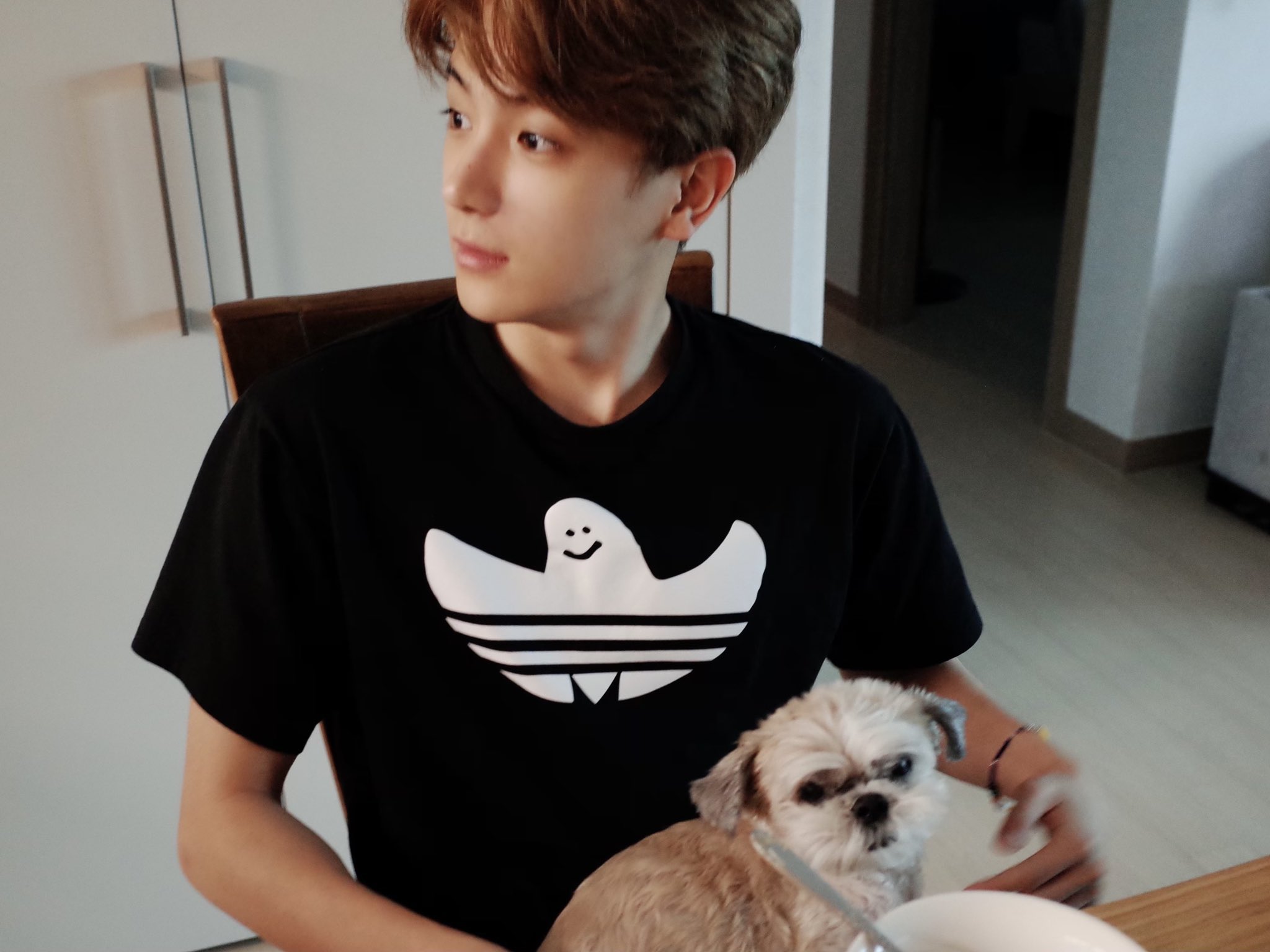 [잡담] 이재현 다롱이랑 찍은 사진 다 좋아🐶❤ | 인스티즈