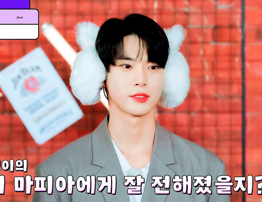 [잡담] 엔시티 도영 딩고에서 귀마개 모임 ? | 인스티즈