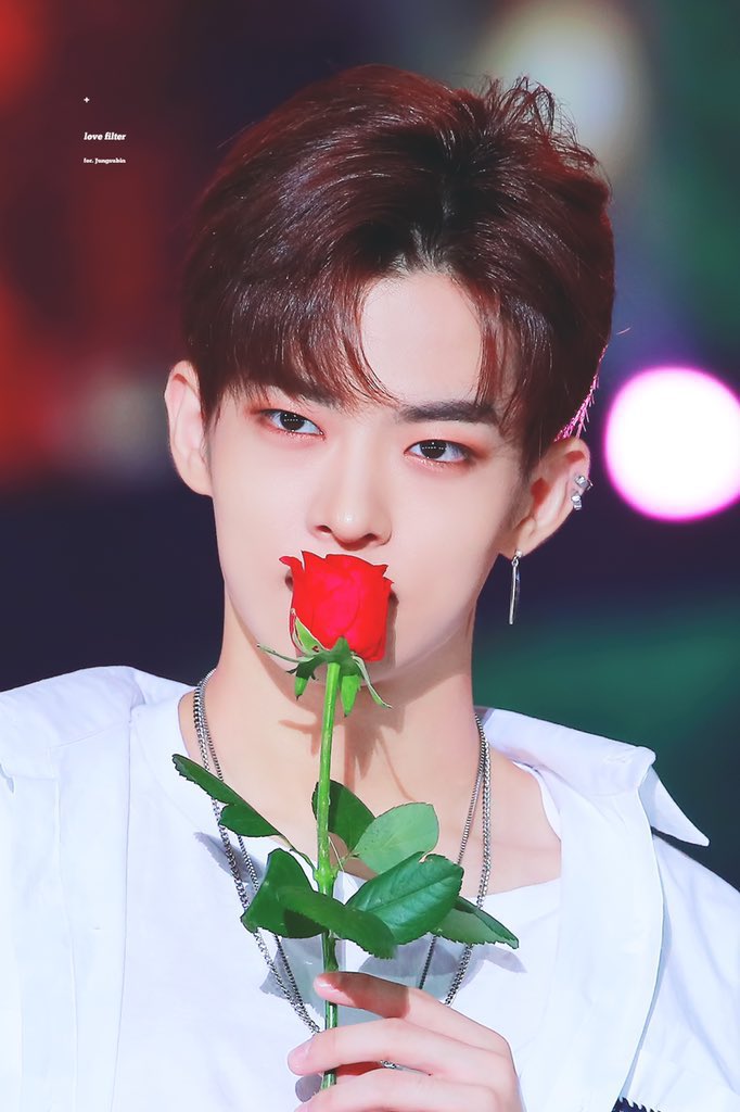 [잡담] 나 요즘 진짜 빠진 돌있다ㅋㅋㅋㅋ | 인스티즈