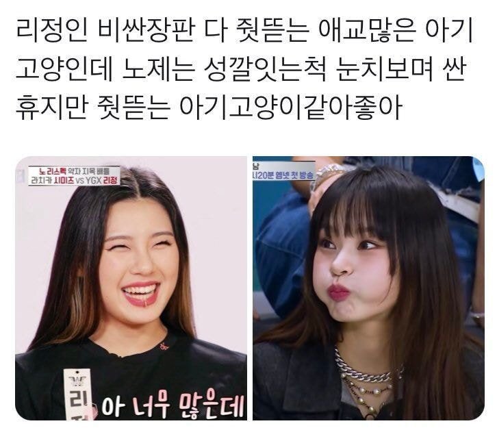 [잡담] 리정 노제 이보다 더 찰떡인 비유 본적없어.... | 인스티즈
