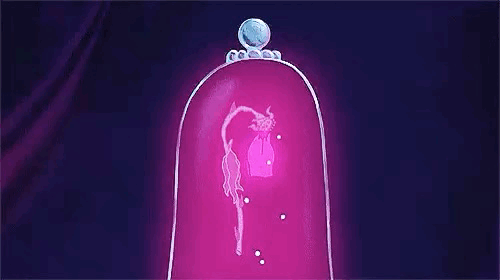 [잡담] 양요섭 드라이플라워 가사 진짜 이쁜데 울고싶음..... | 인스티즈