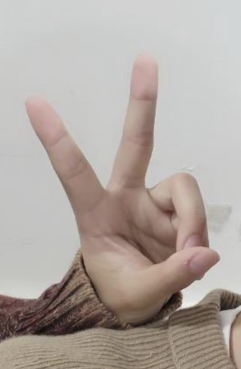 [잡담] 그럼 나는 이 손 주인 | 인스티즈