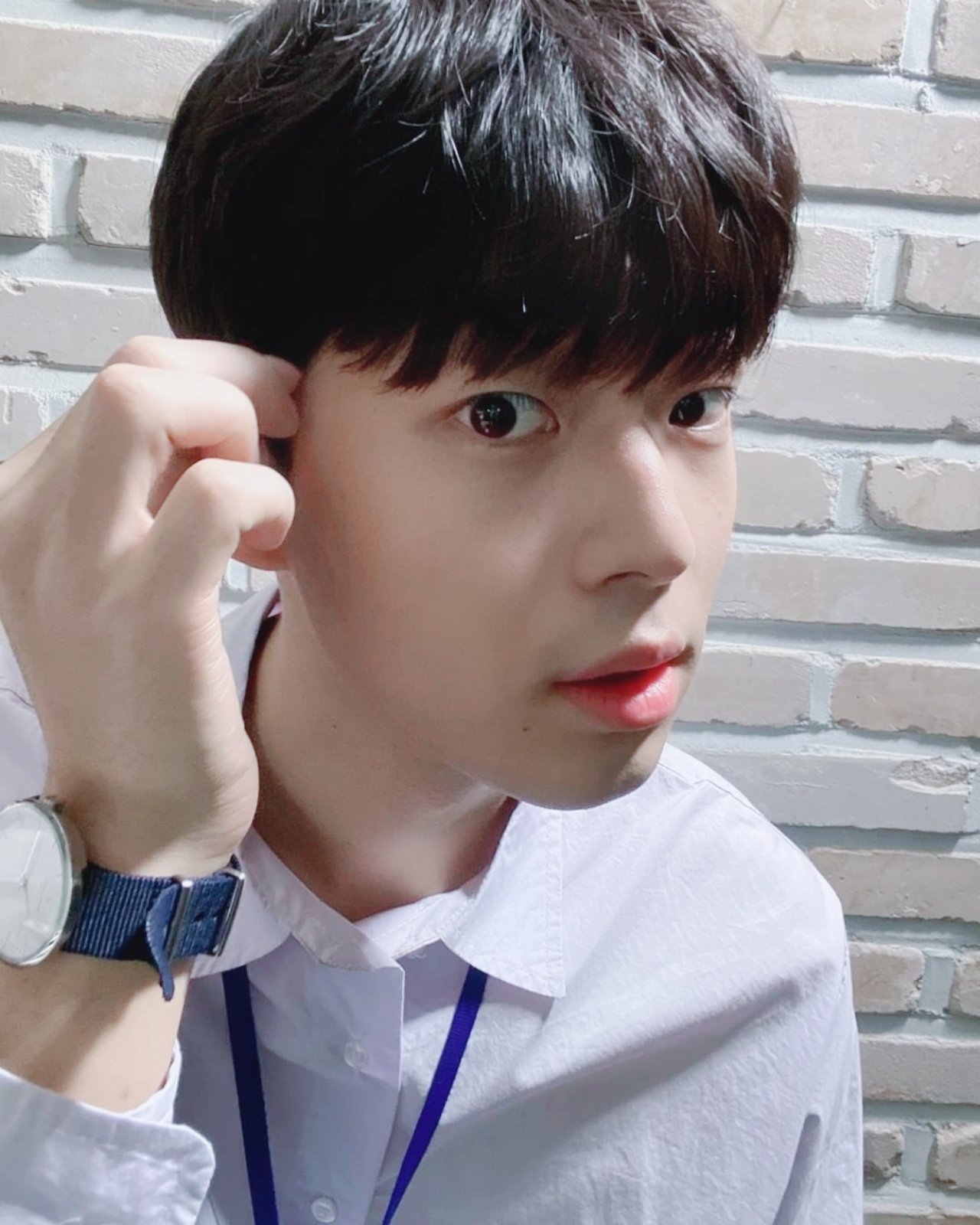 ㄱ [잡담] 삘타서 새빛남고, 나의 별에게, 유메이크미댄스 다봄 - 인스티즈(instiz) 연예 카테고리