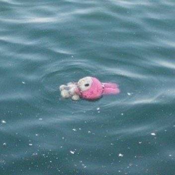 인생 힘들 때 쓸 짤 있는사람 | 인스티즈