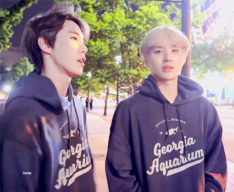 [잡담] 플립 커버 배경할 아이돌들 움짤 구합니다 | 인스티즈