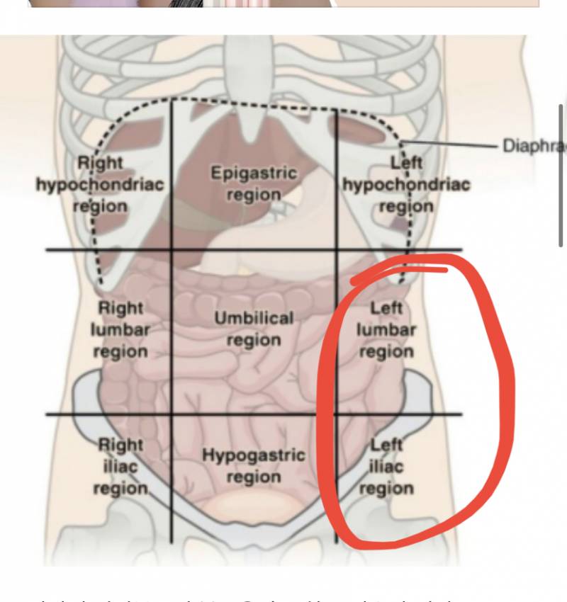 배 이쪽 부위가 너무 아픈데 왜 그런지 아는 익 있을까?? | 인스티즈