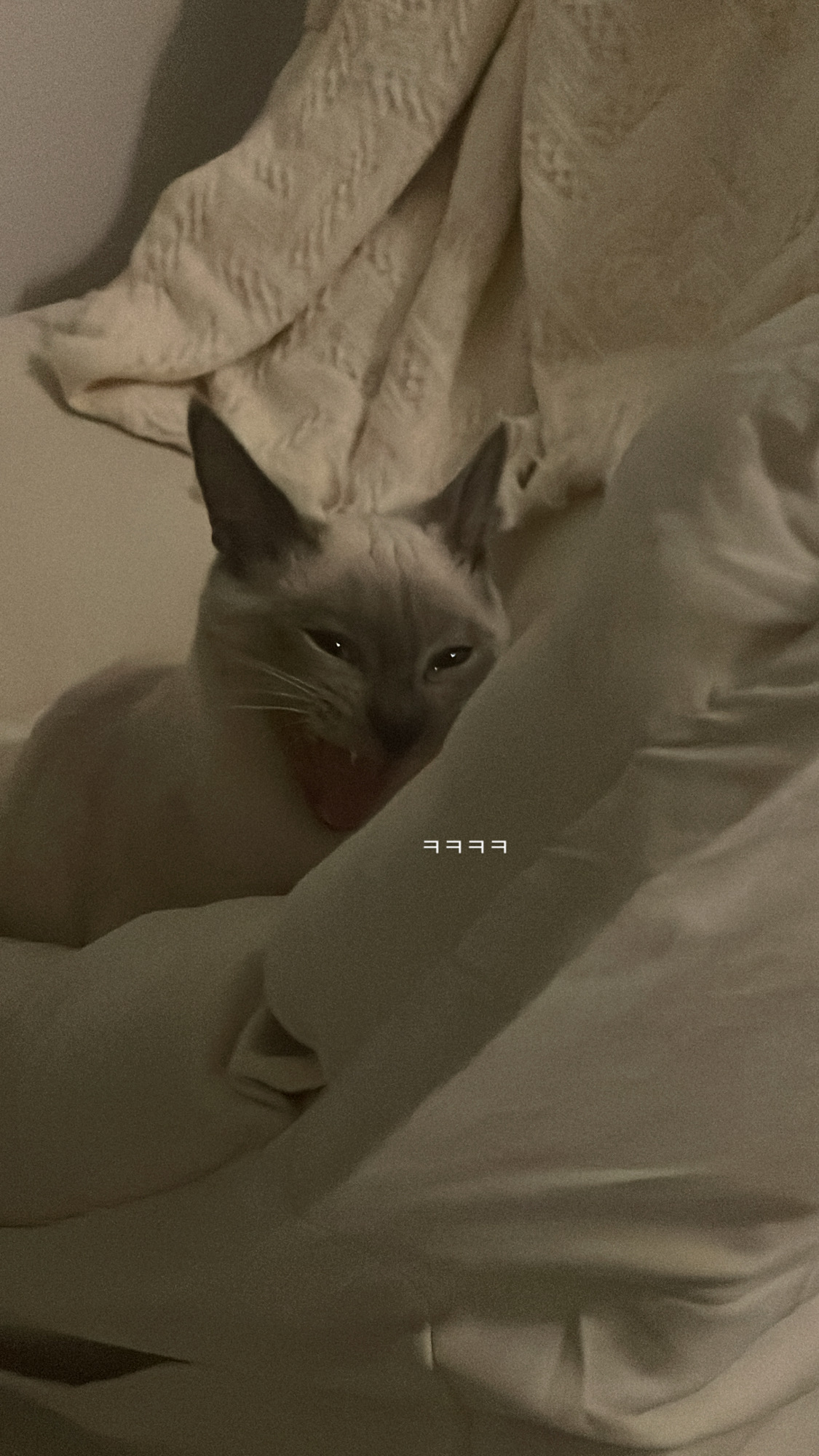 아 이거봐 ㅋ⫬ㅋ⫬ㅋ⫬ㅋ⫬ㅋ⫬ㅋ⫬ㅋ⫬ㅋ⫬ ㅋ𐨛 ㅋ𐨛 𐨛 ㅋ⫬ㅋ⫬ㅋ⫬ㅋ⫬ㅋ⫬ㅋ⫬ㅋ⫬ㅋ⫬ | 인스티즈