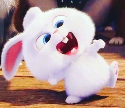 고딩들아 대딩이 부럽니? | 인스티즈