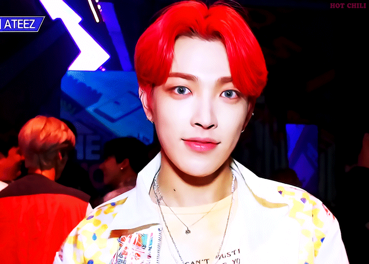 [잡담] 고양이 vs 햄스터 vs 퓨마 vs 다람쥐 | 인스티즈