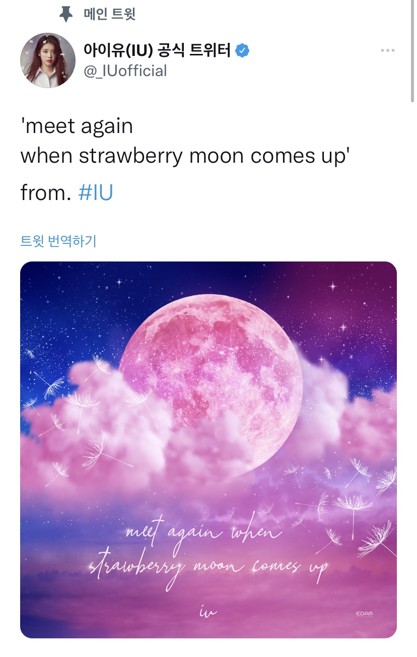 [잡담] 아이유 메인 트윗 바꼈다 !! | 인스티즈