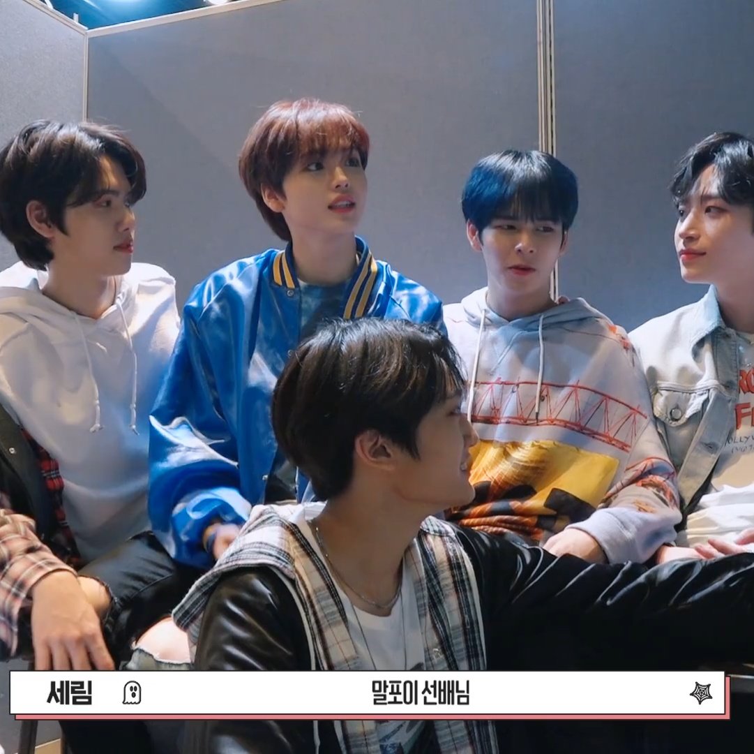 [잡담] 비발디 선배님 사계 그룹 범상치 않네 | 인스티즈