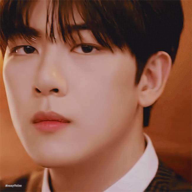 [잡담] 새벽이니까 솔직하게 하나만 물어보자 | 인스티즈