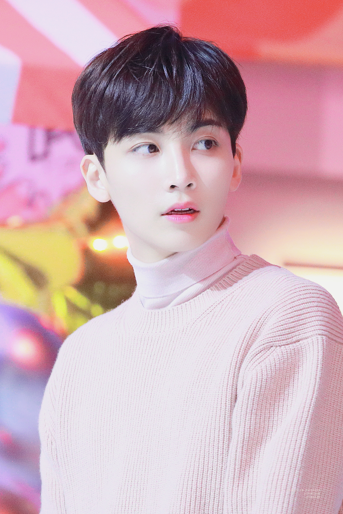 [잡담] 나 취향 KTX타고 봐도 소나무임 | 인스티즈