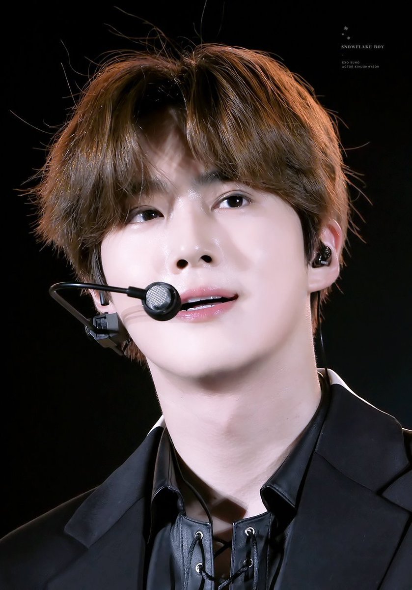 [잡담] 나 취향 KTX타고 봐도 소나무임 | 인스티즈