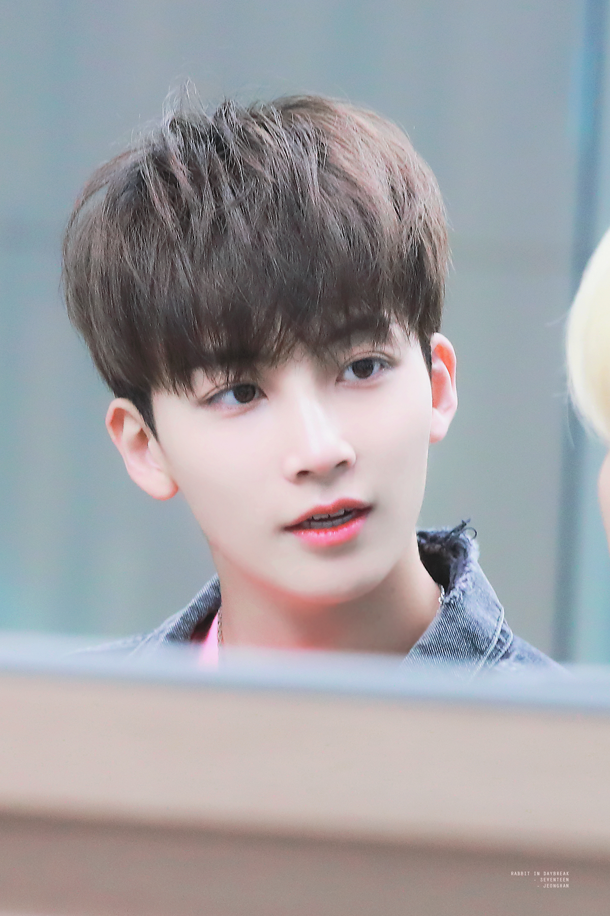 [잡담] 나 취향 KTX타고 봐도 소나무임 | 인스티즈