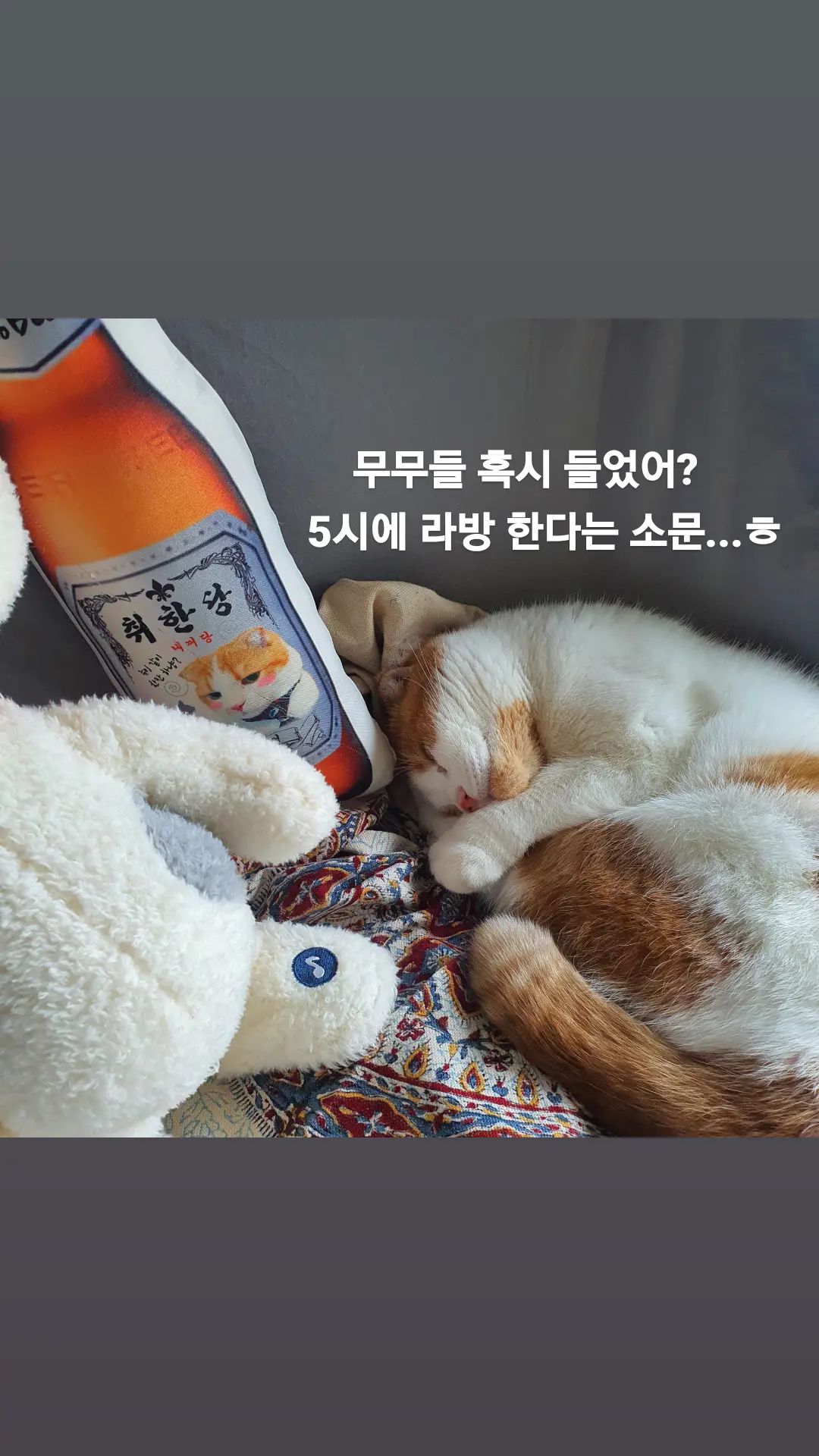 [잡담] 마마무들아 휘인이 라방 | 인스티즈