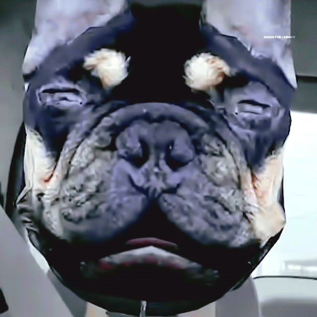 [잡담] 나재민 누가봐도 인스타 라방 처음함ㅋㅋㅋㅋㅋㅋㅋㅋㅋㅋㅋㅋㅋㅋㅋㅋㅋㅋㅋㅋㅋㅋㅋㅋ | 인스티즈