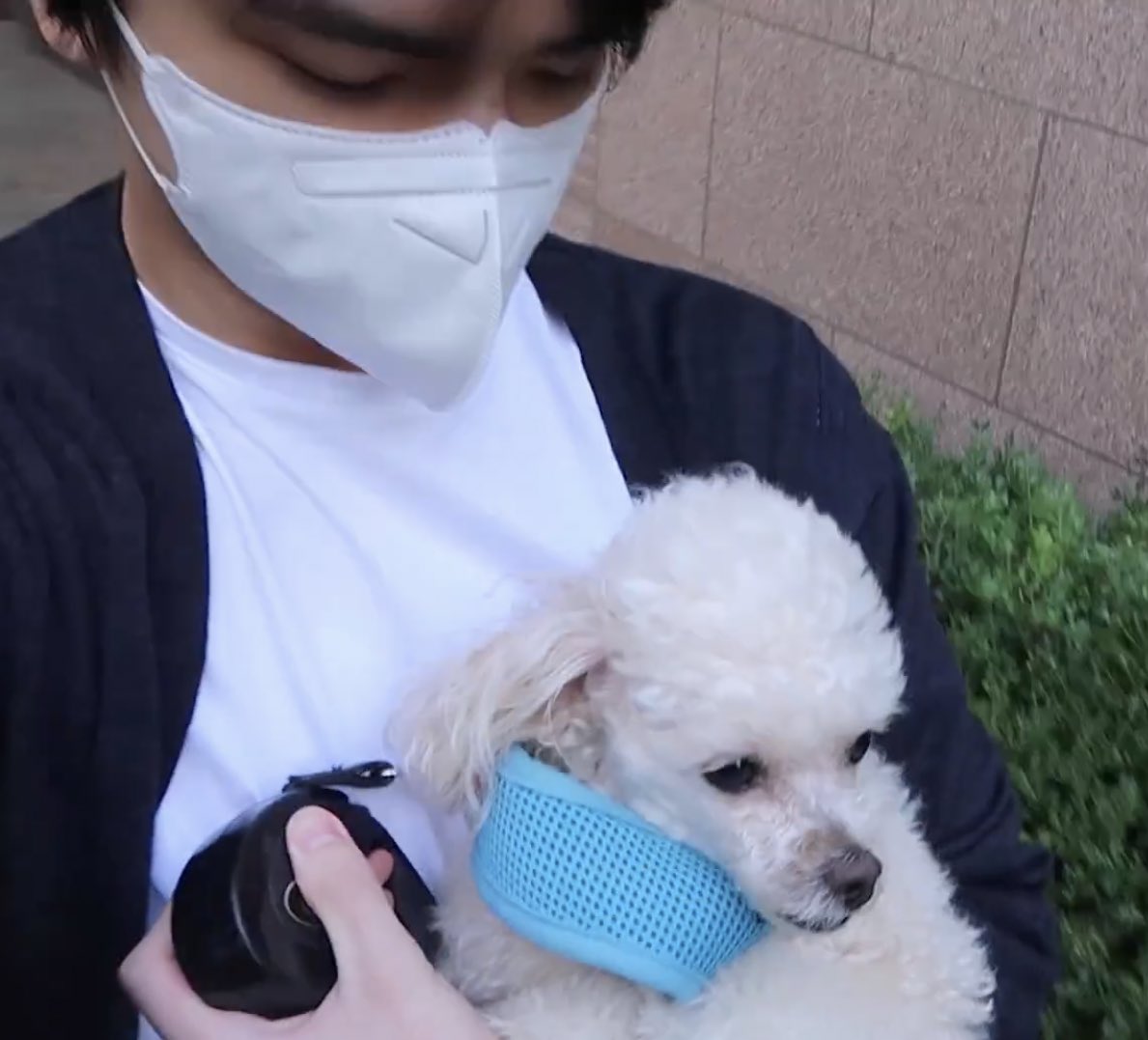 [잡담] 영훈아 보리랑 행복해라 | 인스티즈