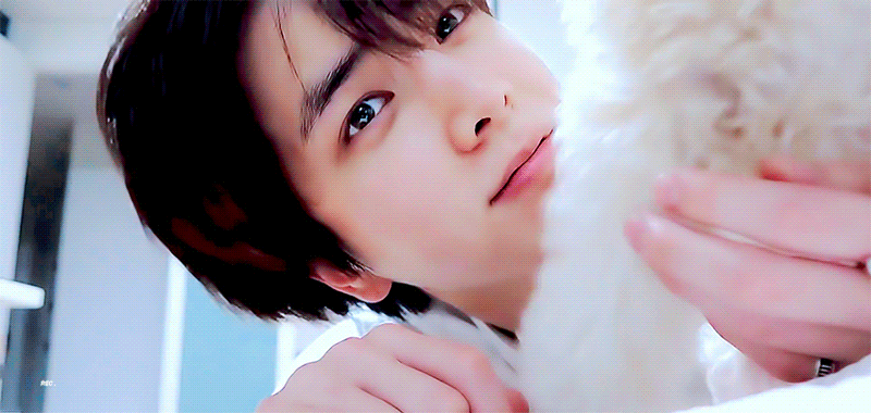 [잡담] 나 지금 이재용보다 송도사는 김보리(푸들)가 더 부러워 | 인스티즈