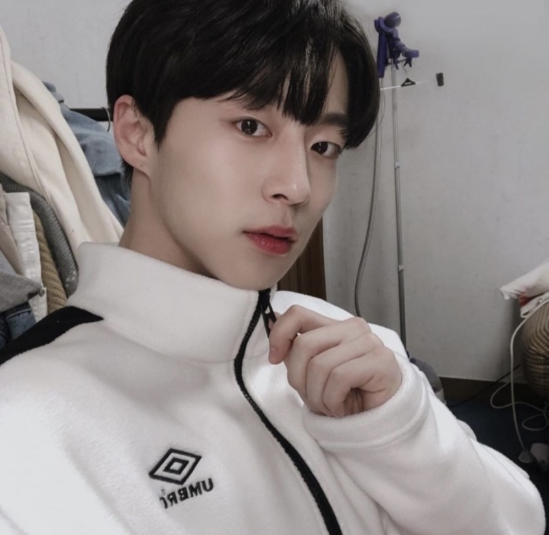 [잡담] 내 취향 소나무인지 봐 줄 사람..? | 인스티즈