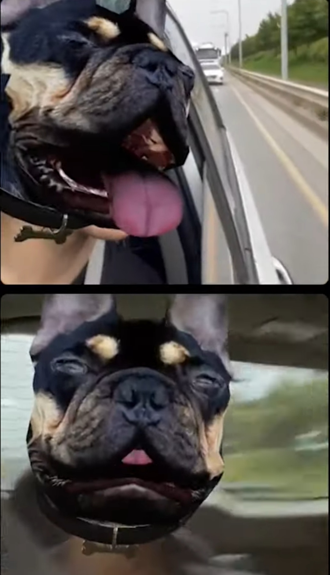 [잡담] 엔시티는 인스타라방 할 때마다 | 인스티즈